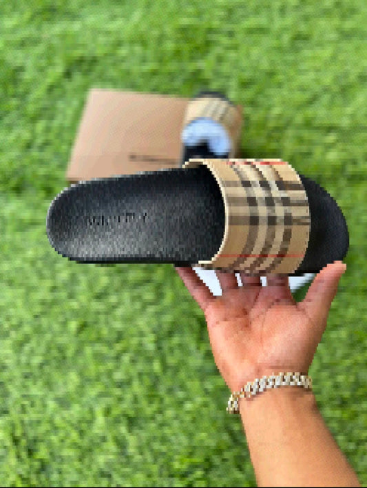 Burberi